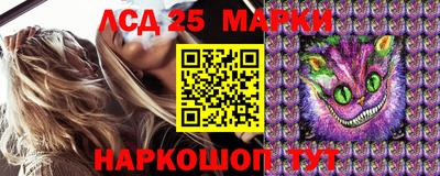 гидропоника Кимры