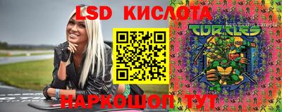 гидропоника Кингисепп