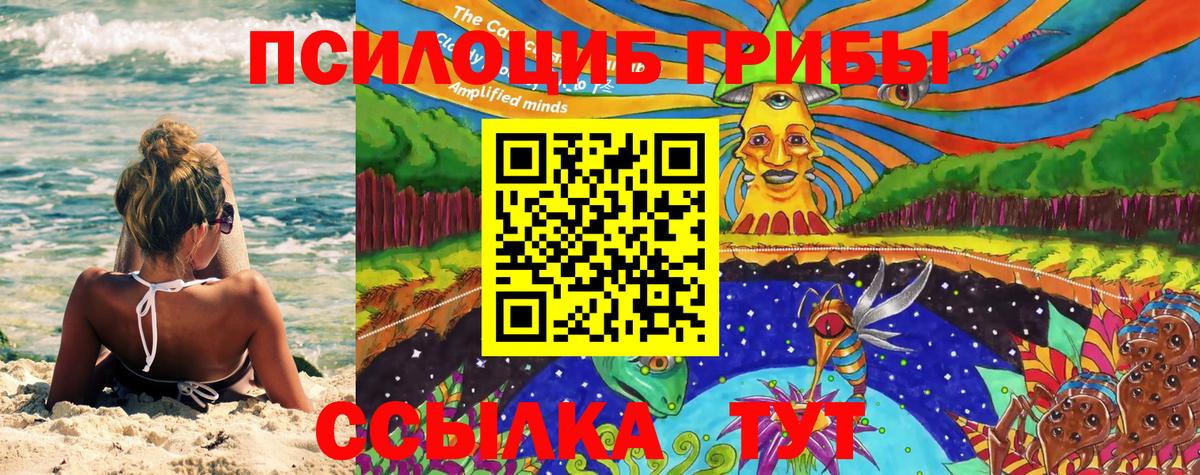 Галлюциногенные грибы Cubensis  Вход с VPN  Корсаков 